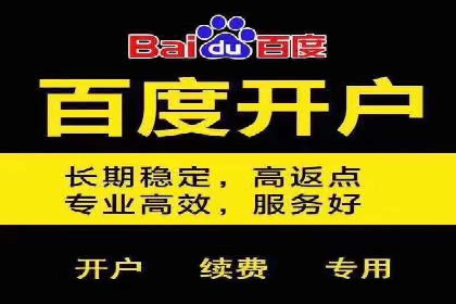SEM运营中的数据分析和优化案例研究